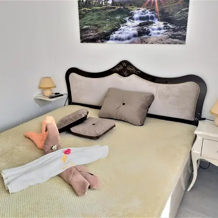 Soko Day 1 Soko Banja