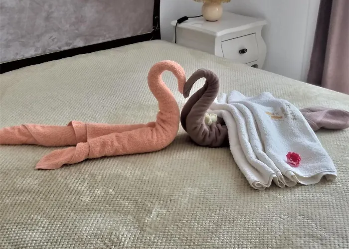 Soko Day 1 아파트 소코 반자