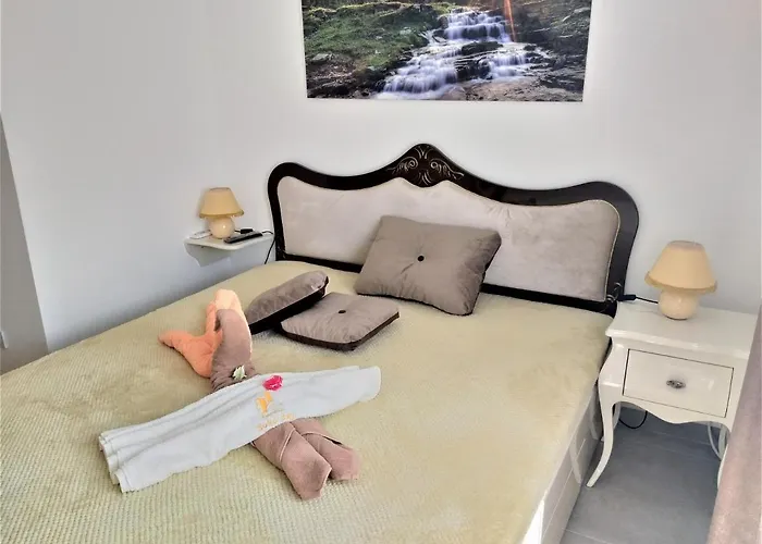 Soko Day 1 소코 반자